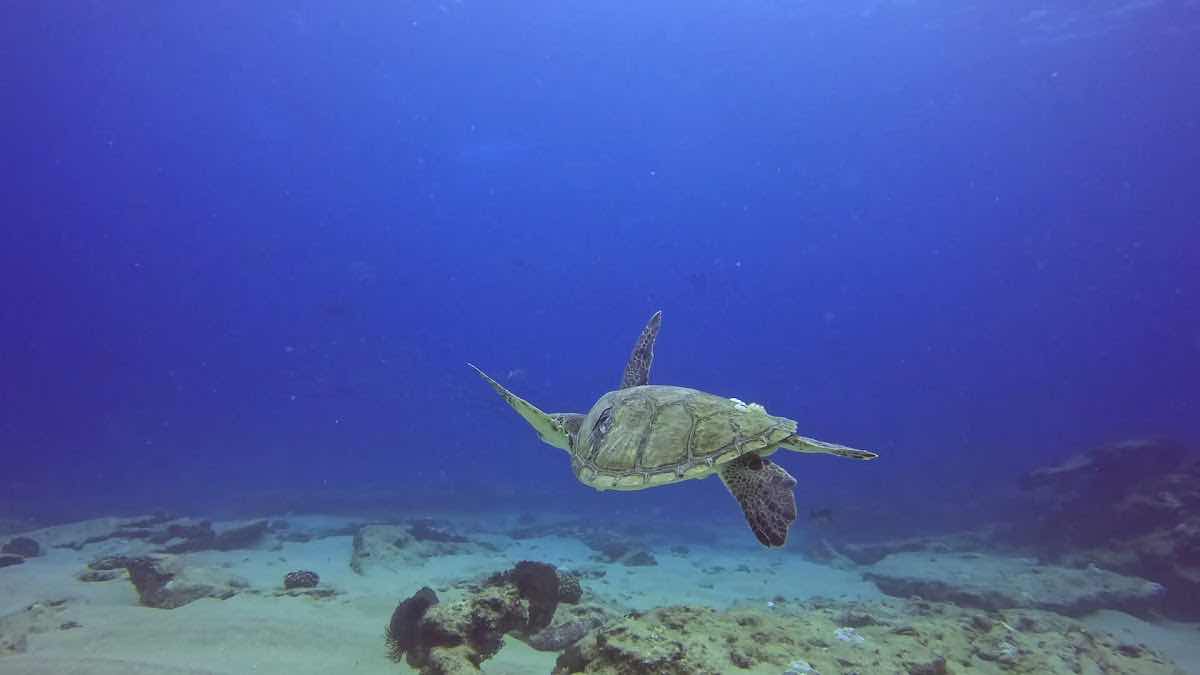 XOC Baja Tours photo 4
