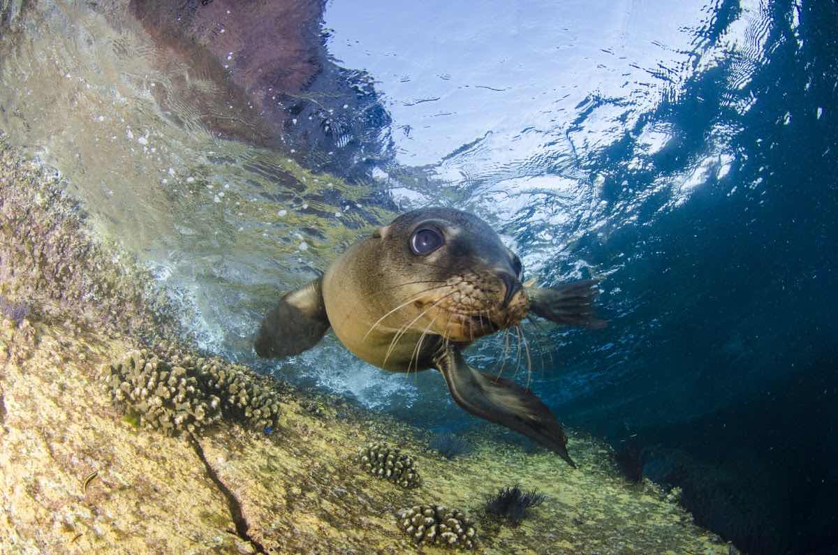 XOC Baja Tours photo 8