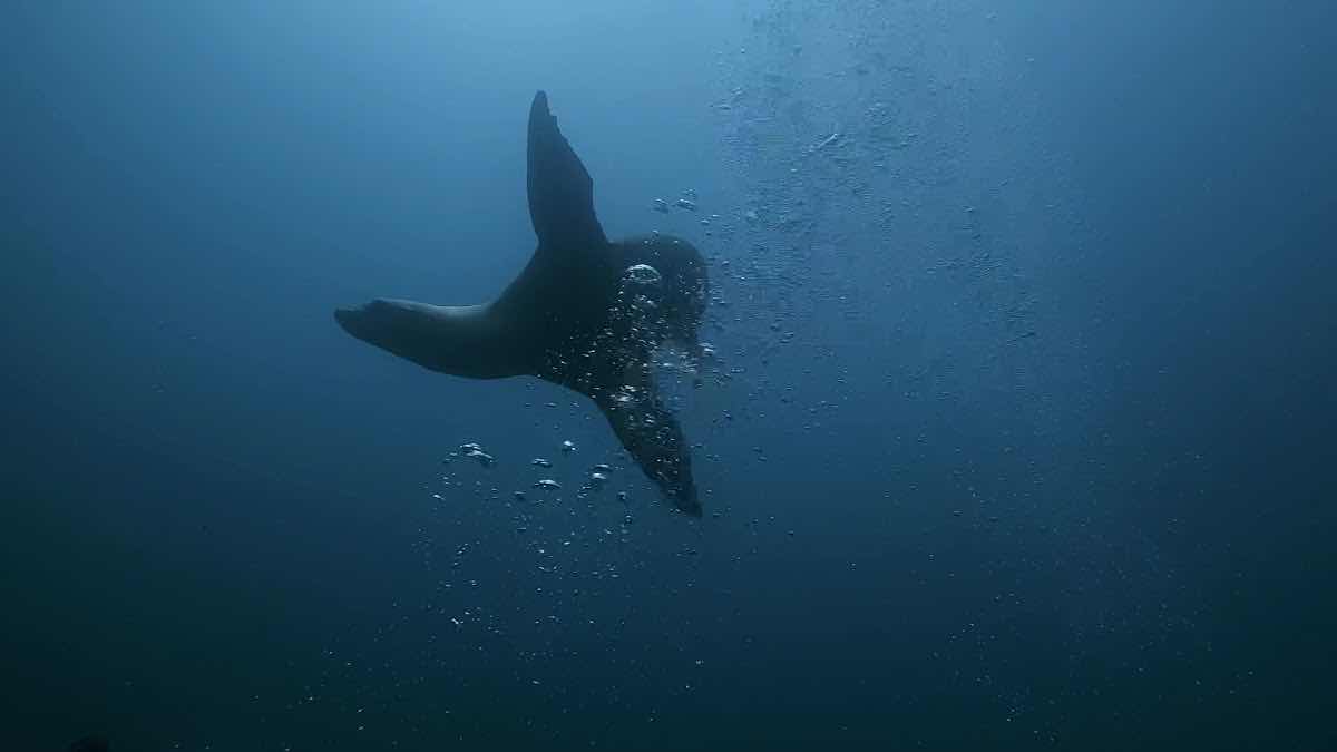 XOC Baja Tours photo 10