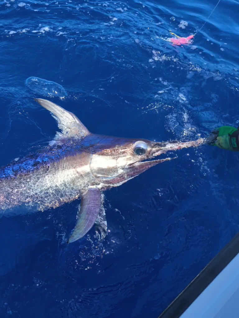 Grand Slam Fishing Charters photo 3