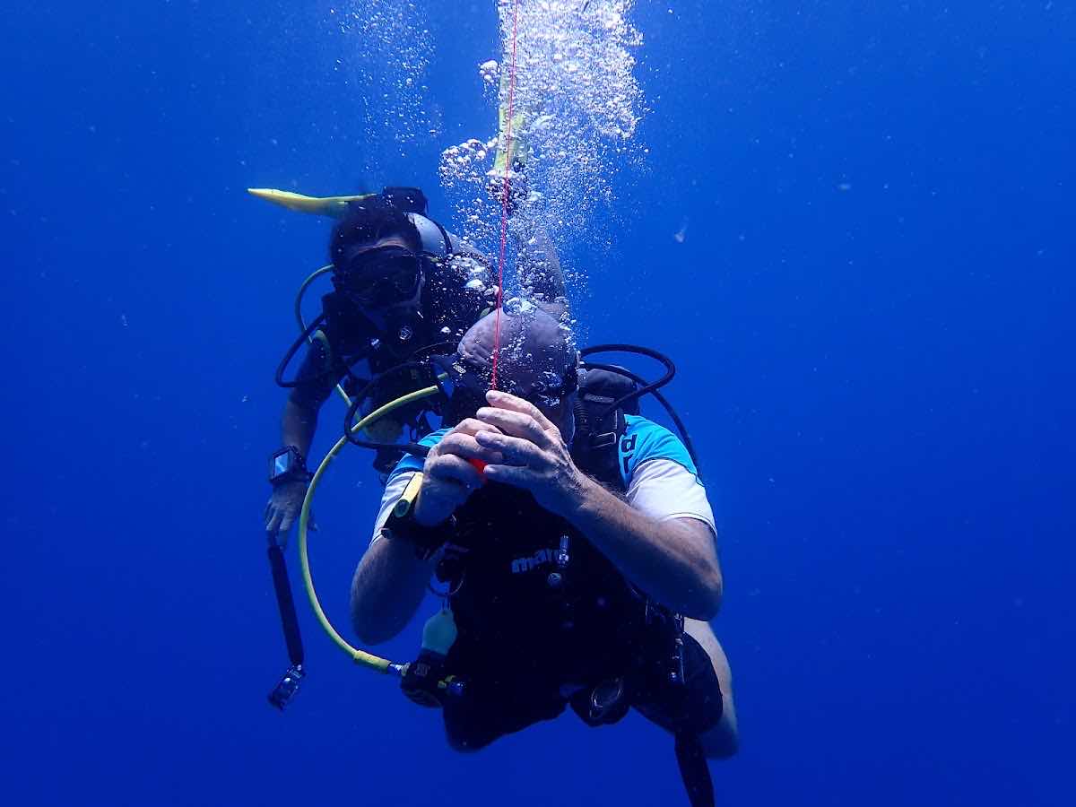 Khmer Dive Group - Koh Rong photo 6