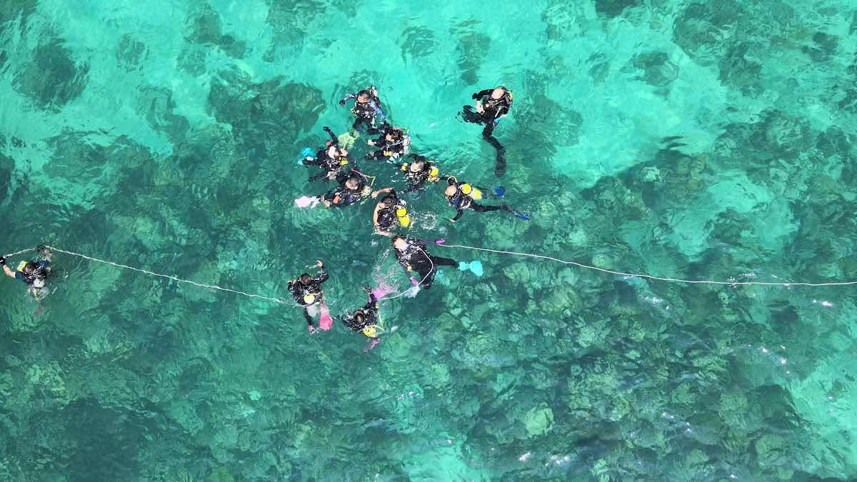 Khmer Dive Group - Koh Rong photo 9