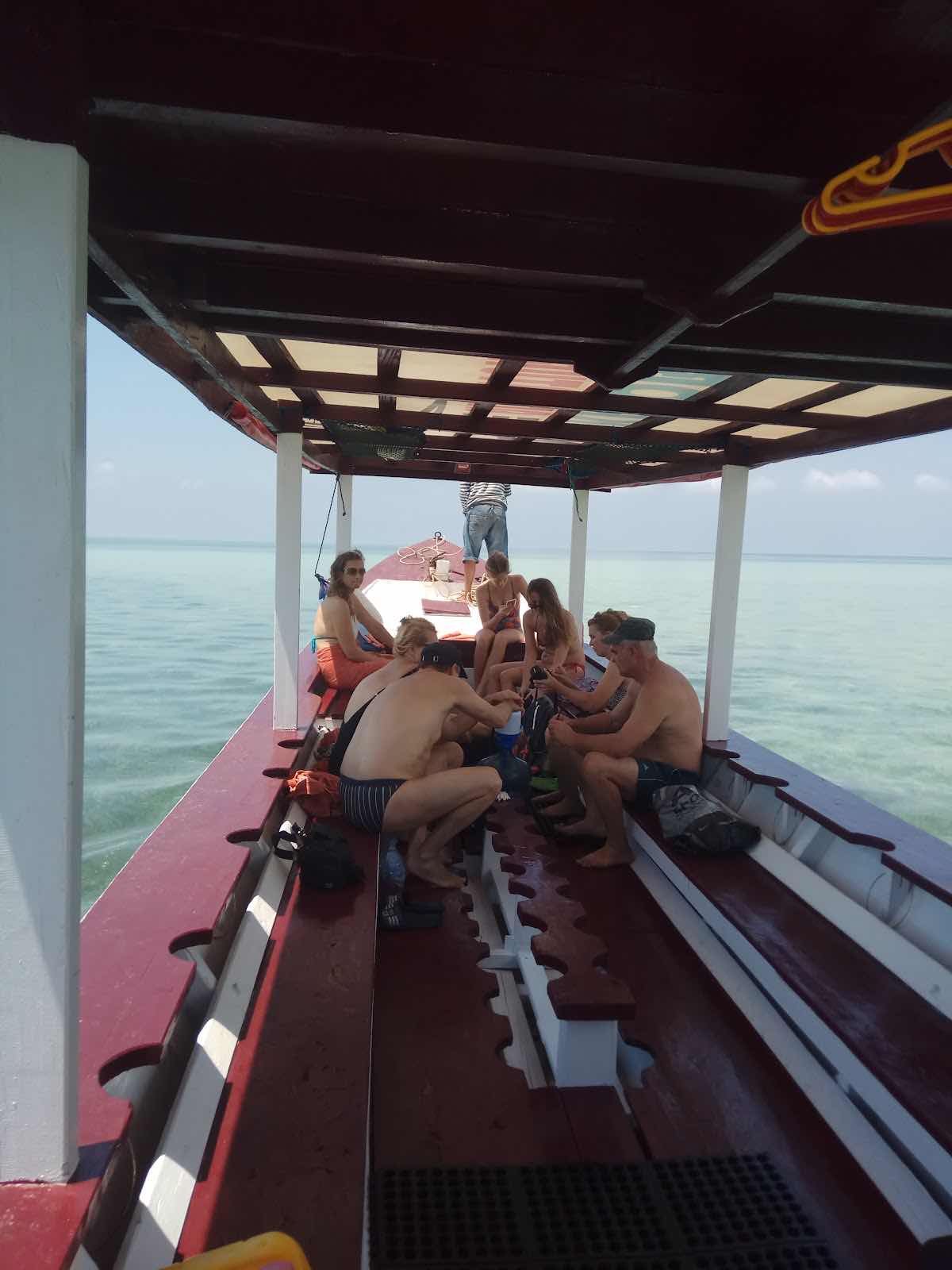 Sulawesi Dive Trek photo 3