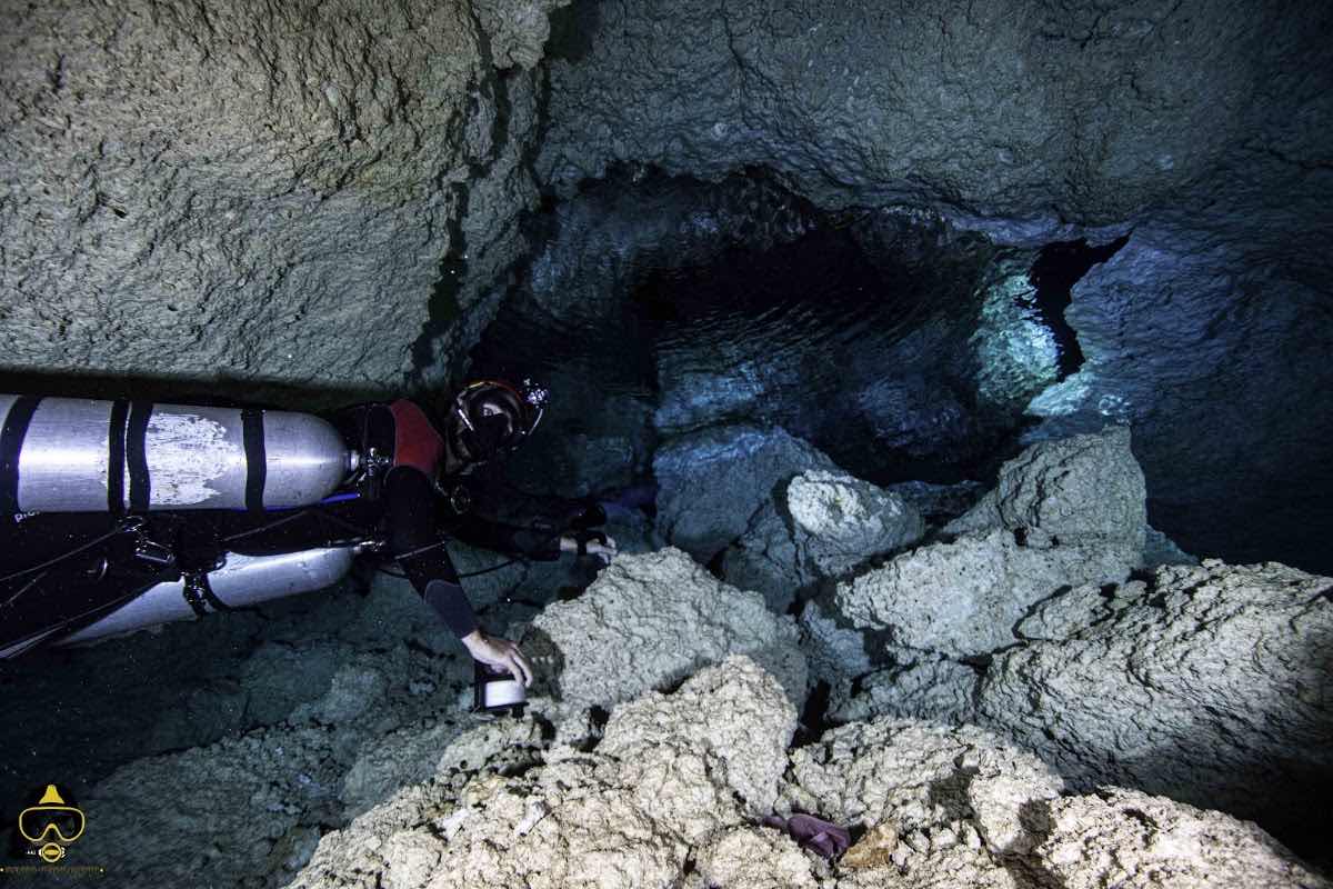 Sulawesi Dive Trek photo 9