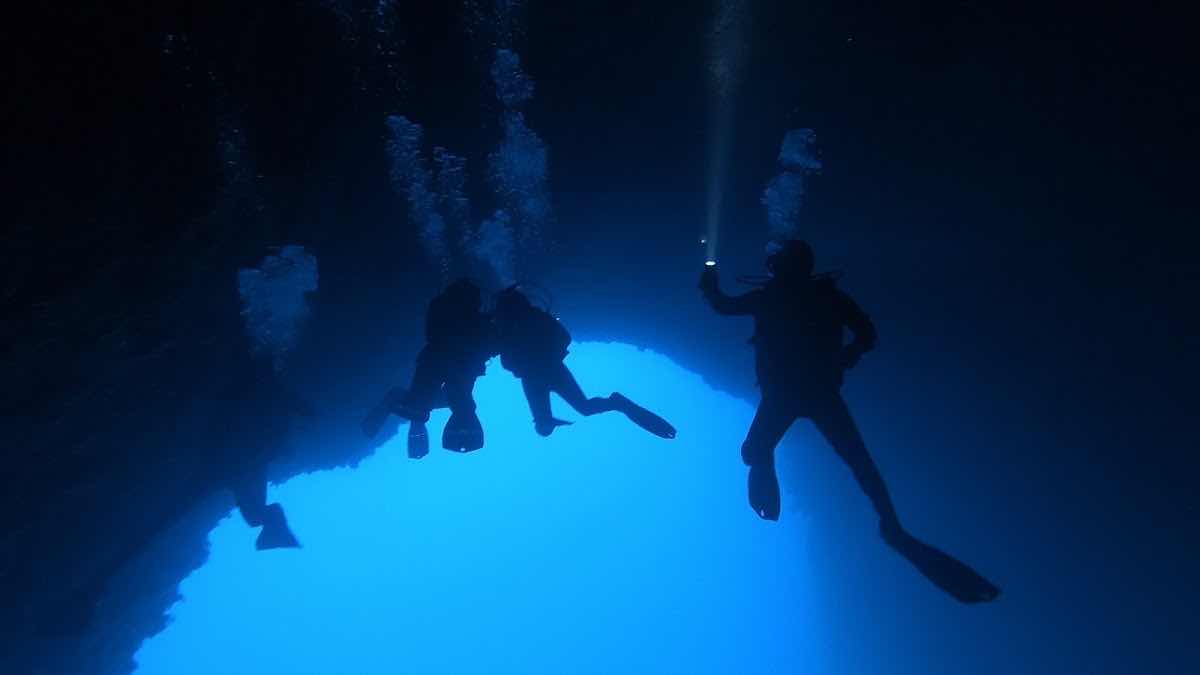 LEPIA DIVE CENTRE photo 2