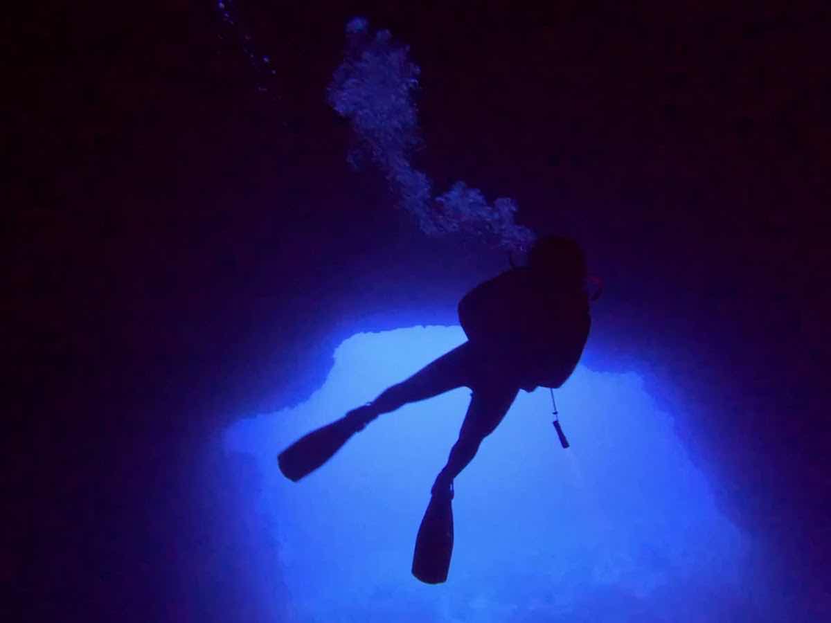 LEPIA DIVE CENTRE photo 3