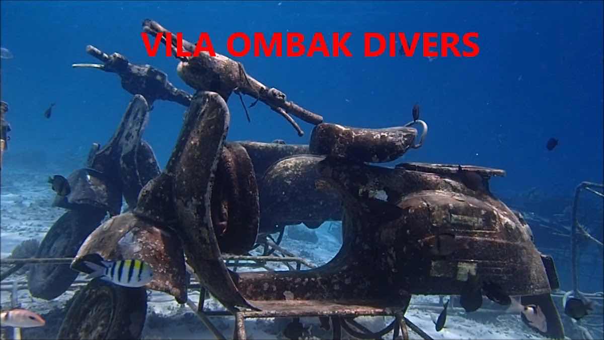 Snorkeling gili photo 2