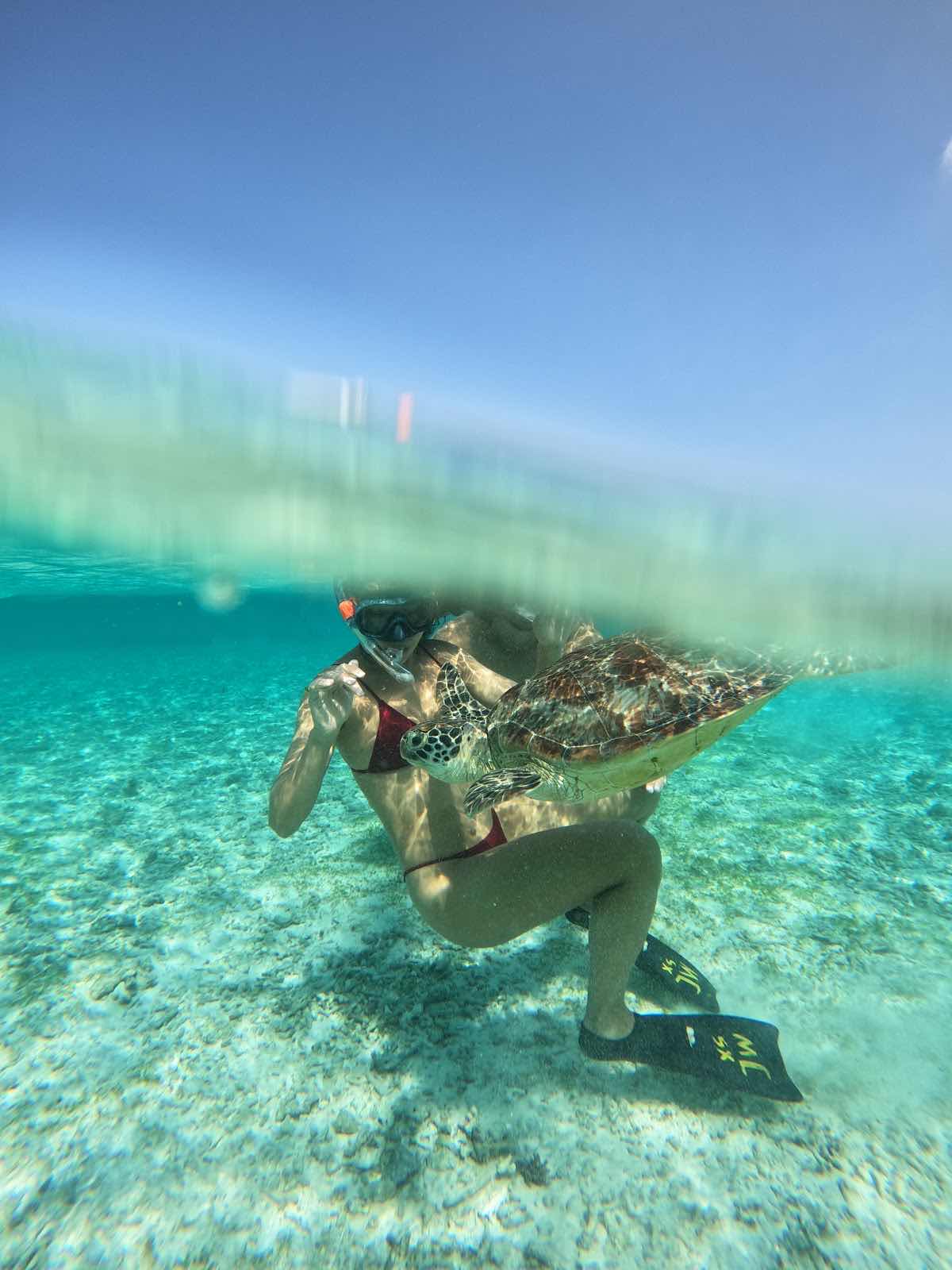 Snorkeling gili photo 7