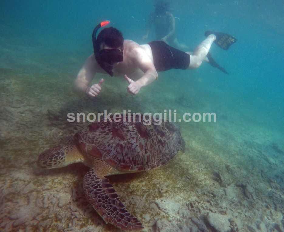 Snorkeling gili photo 10