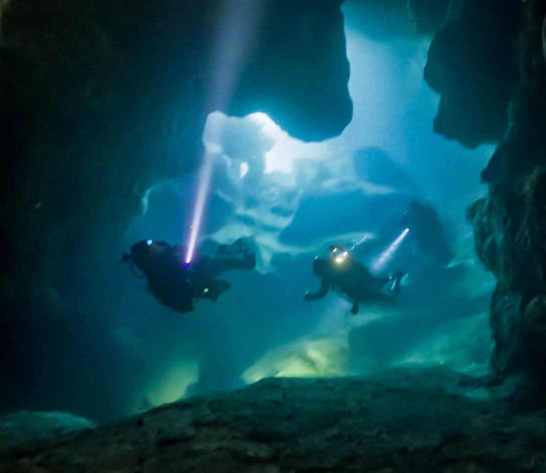 West Bay Divers photo 2