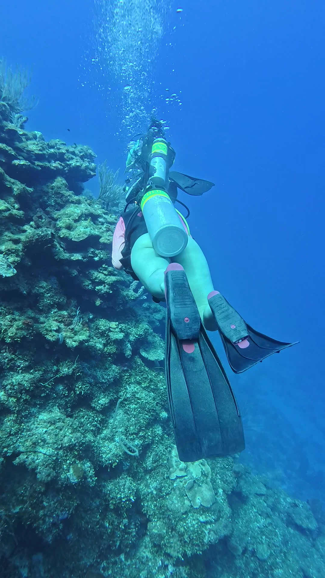 West Bay Divers photo 3