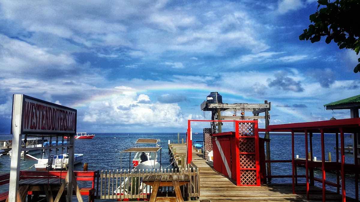 West Bay Divers photo 7