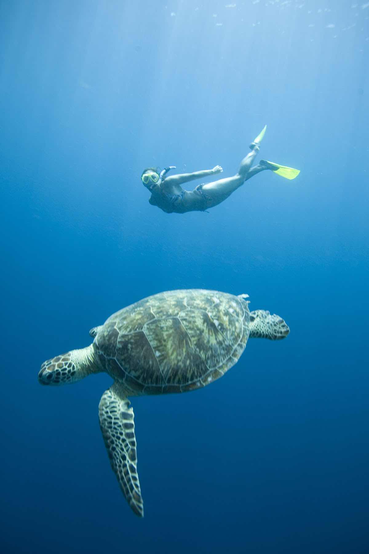 Manta Dive & Snorkel Isla Mujeres photo 6