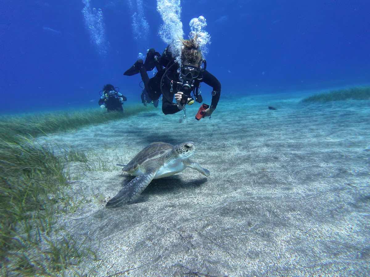 Aquarius dive center photo 3