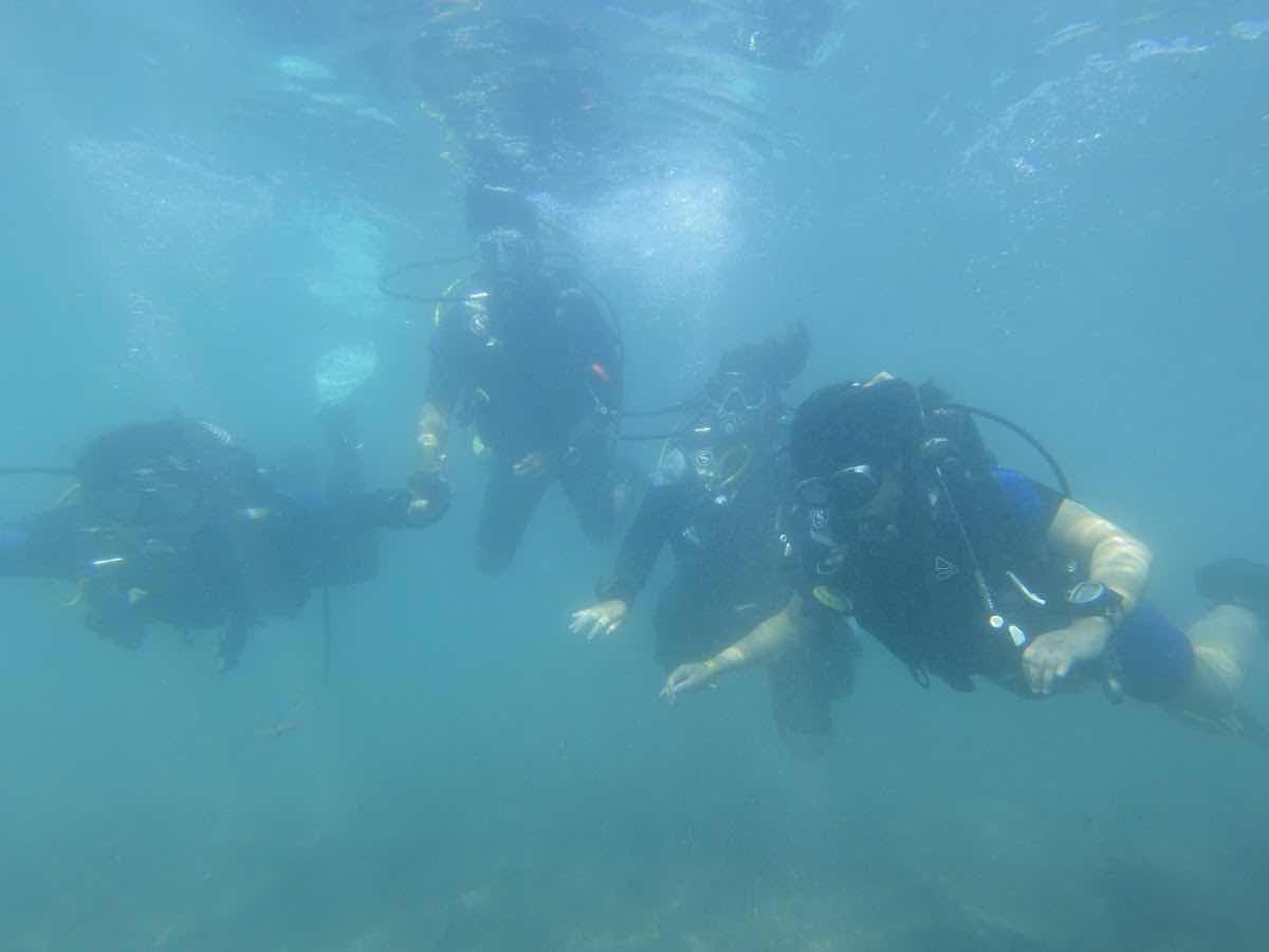 Aquarius dive center photo 8