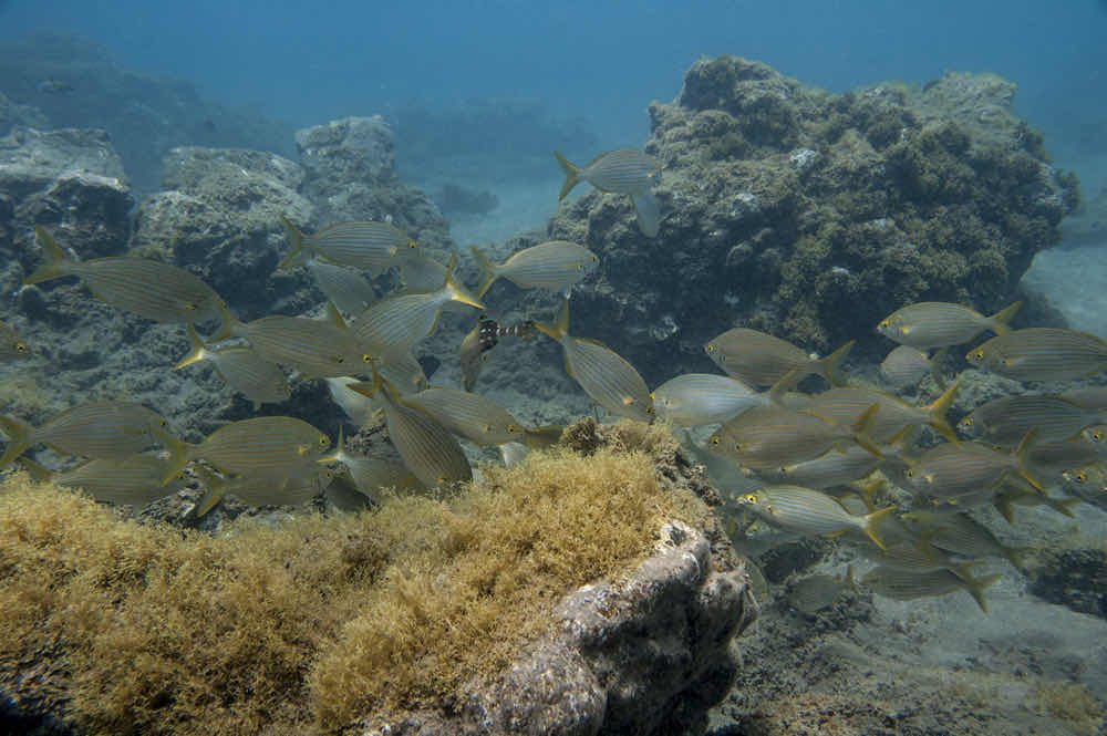 Aquarius dive center photo 9