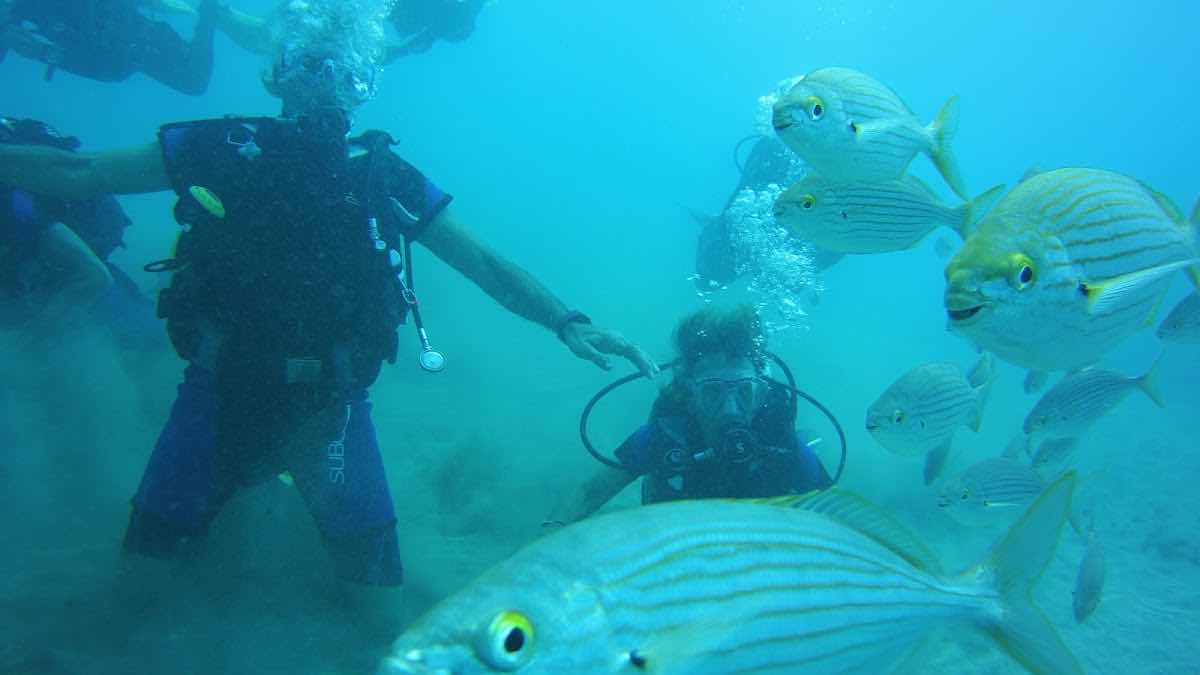 Aquarius dive center photo 10