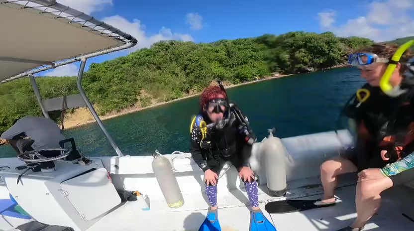 Dive Adventures photo 2
