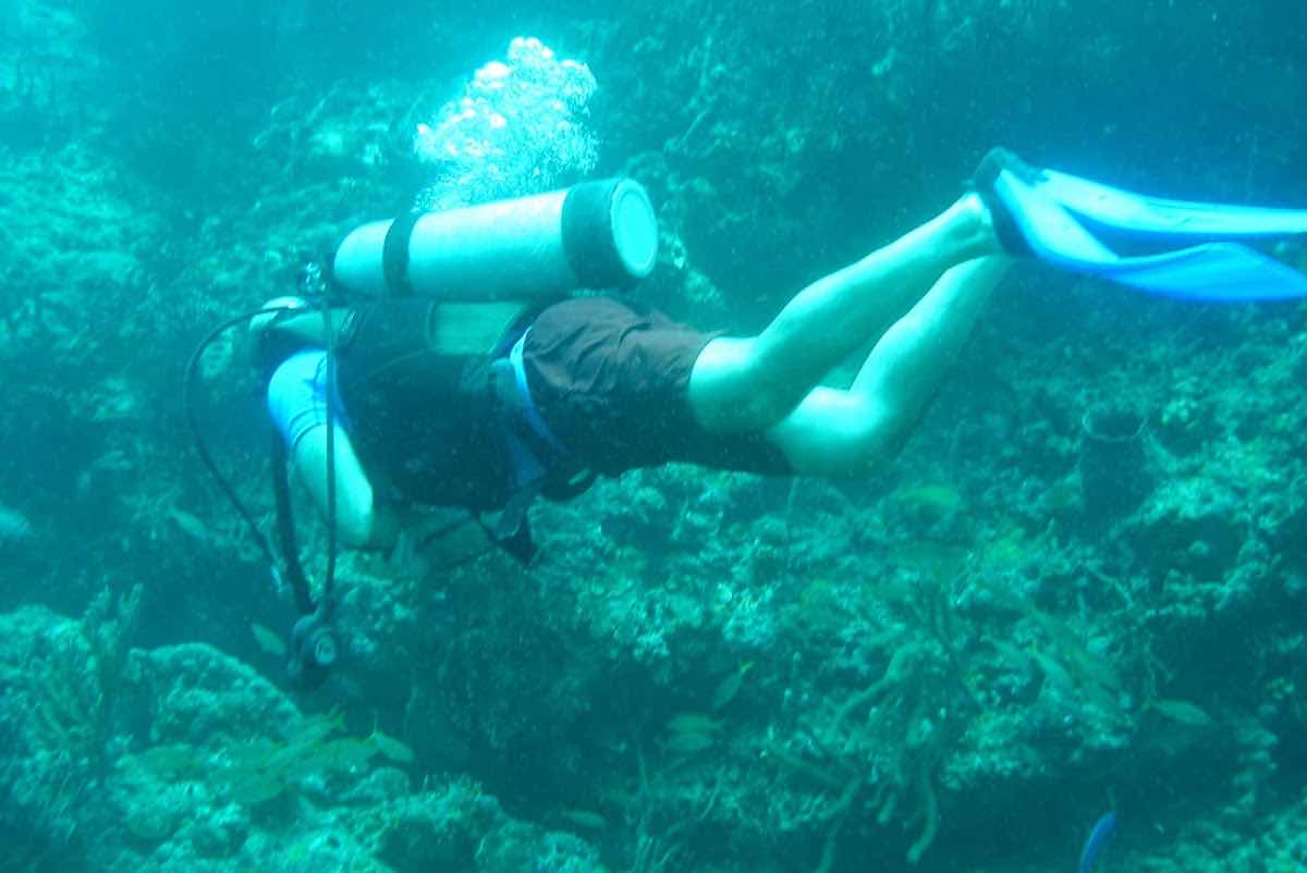 Dive Adventures photo 9