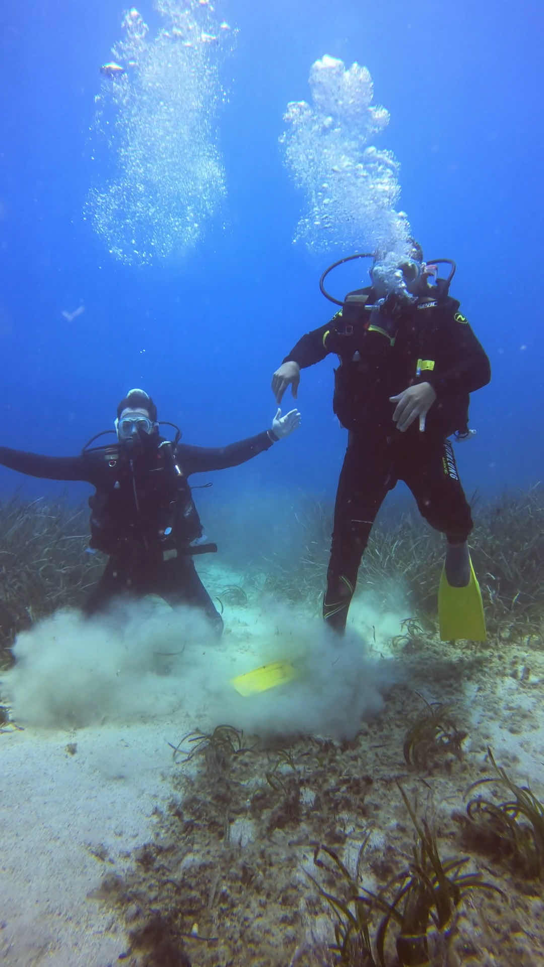 Turquoise Diving Center photo 3