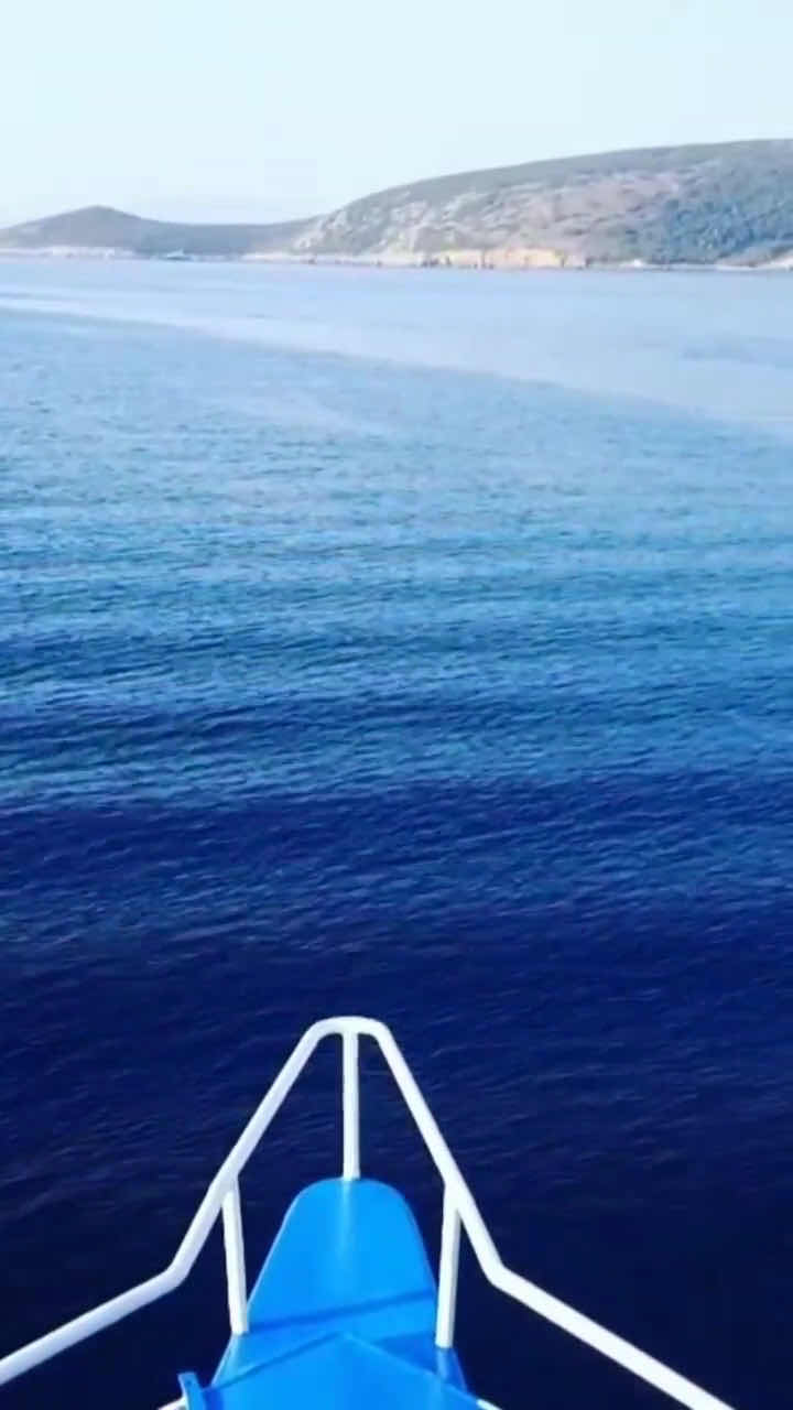 Turquoise Diving Center photo 6