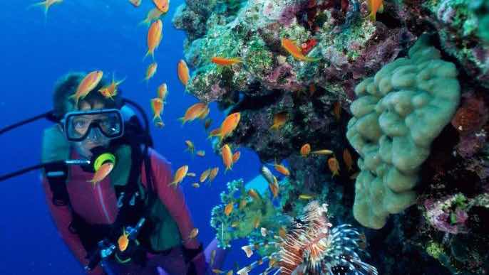 Turquoise Diving Center photo 9