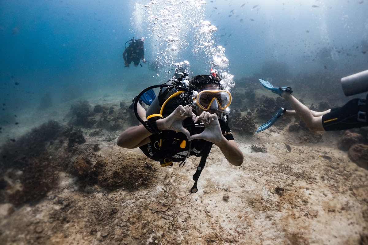 Big Blue Diving School Koh Tao photo 1