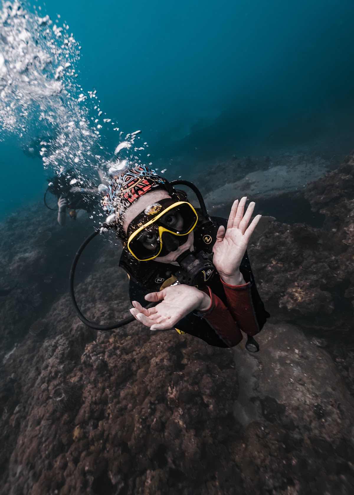 Big Blue Diving School Koh Tao photo 2