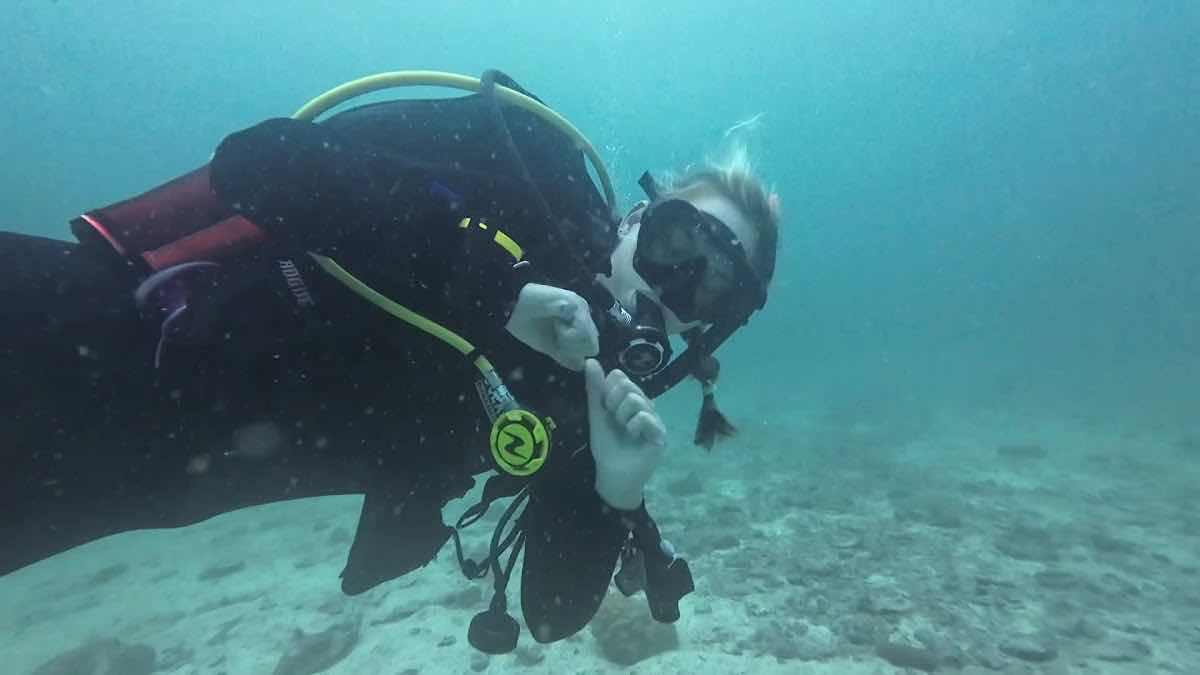 Big Blue Diving School Koh Tao photo 3