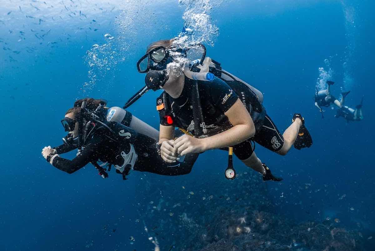 Big Blue Diving School Koh Tao photo 4