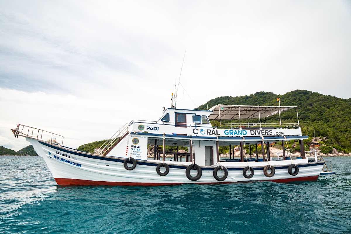 Big Blue Diving School Koh Tao photo 7