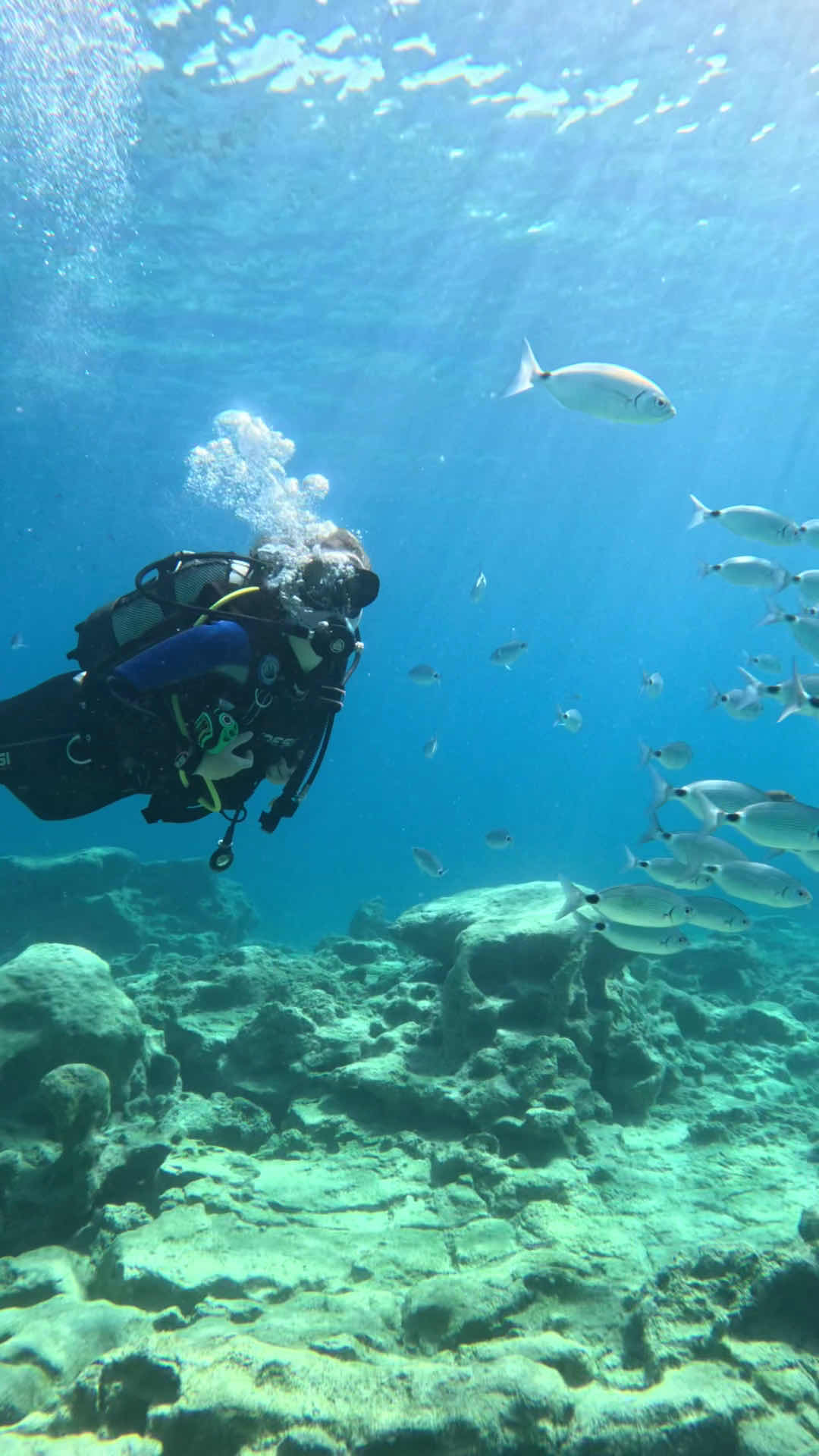 Gotodive Diving Center Cyprus photo 3