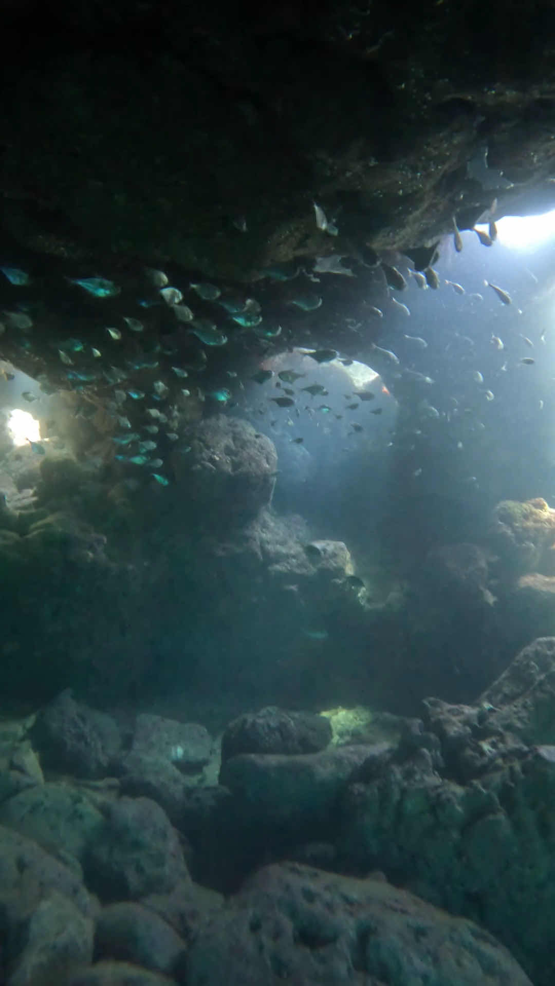 Gotodive Diving Center Cyprus photo 10