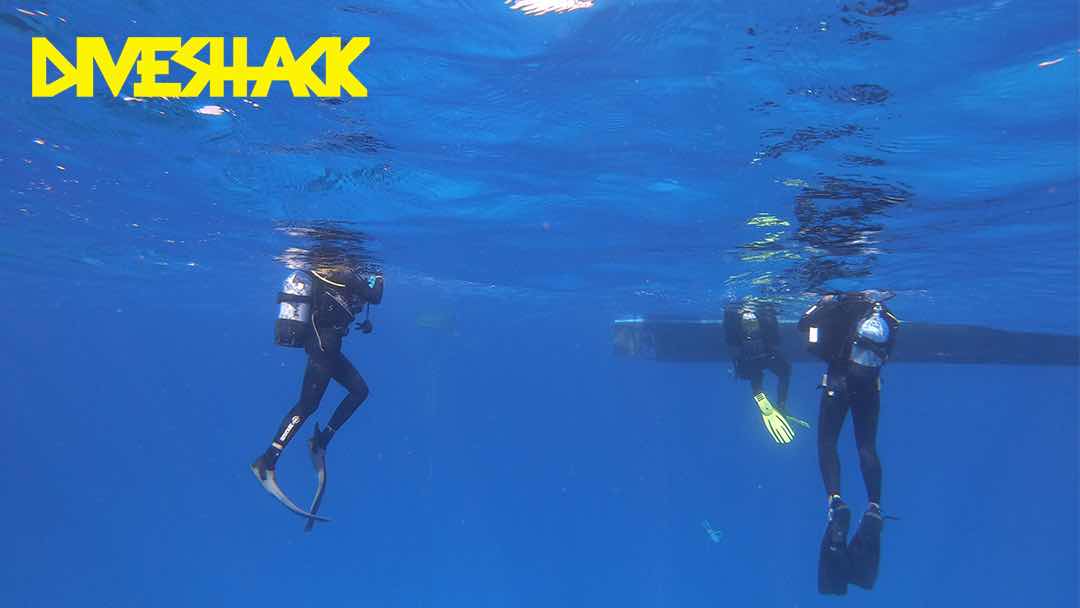 BlackFins Diving photo 2