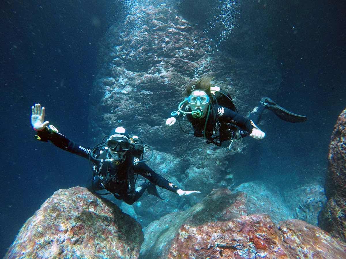 BlackFins Diving photo 6