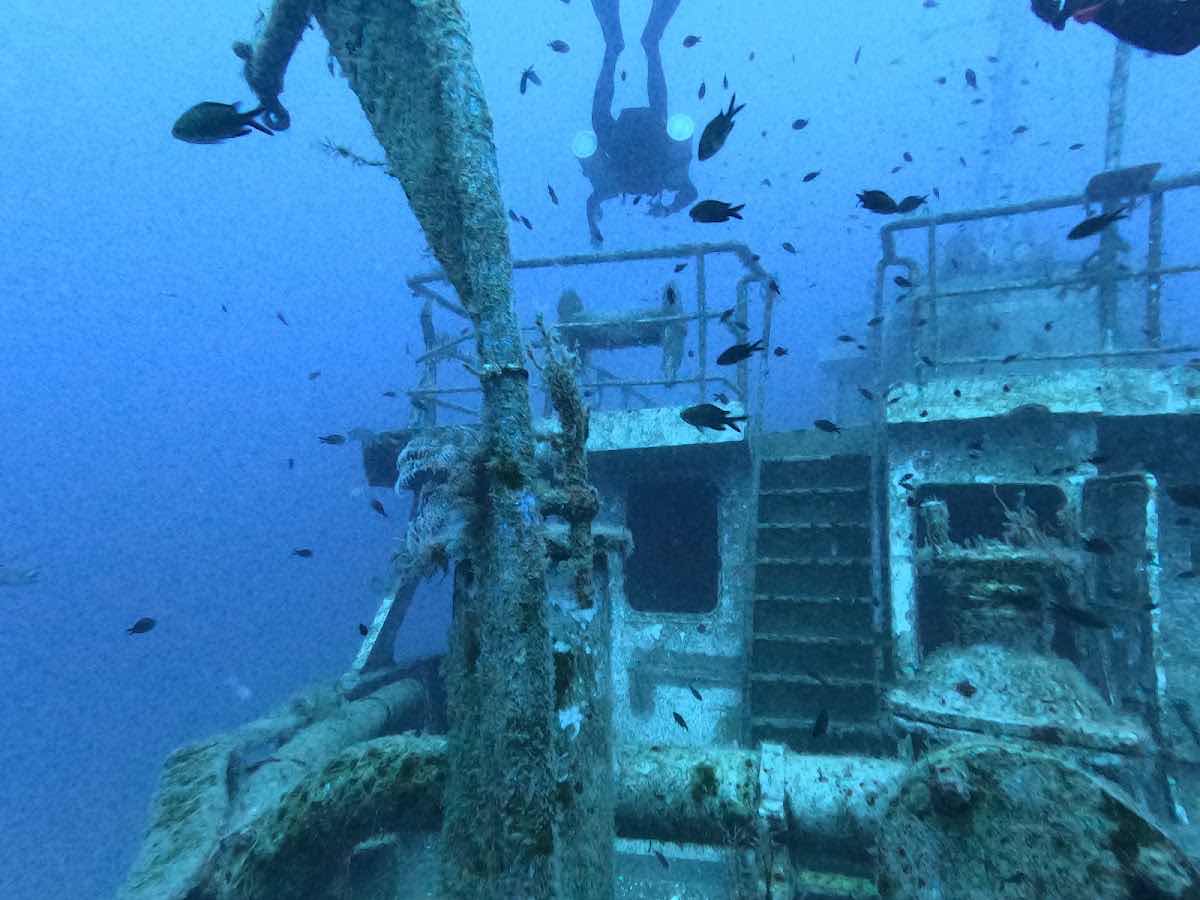 BlackFins Diving photo 7
