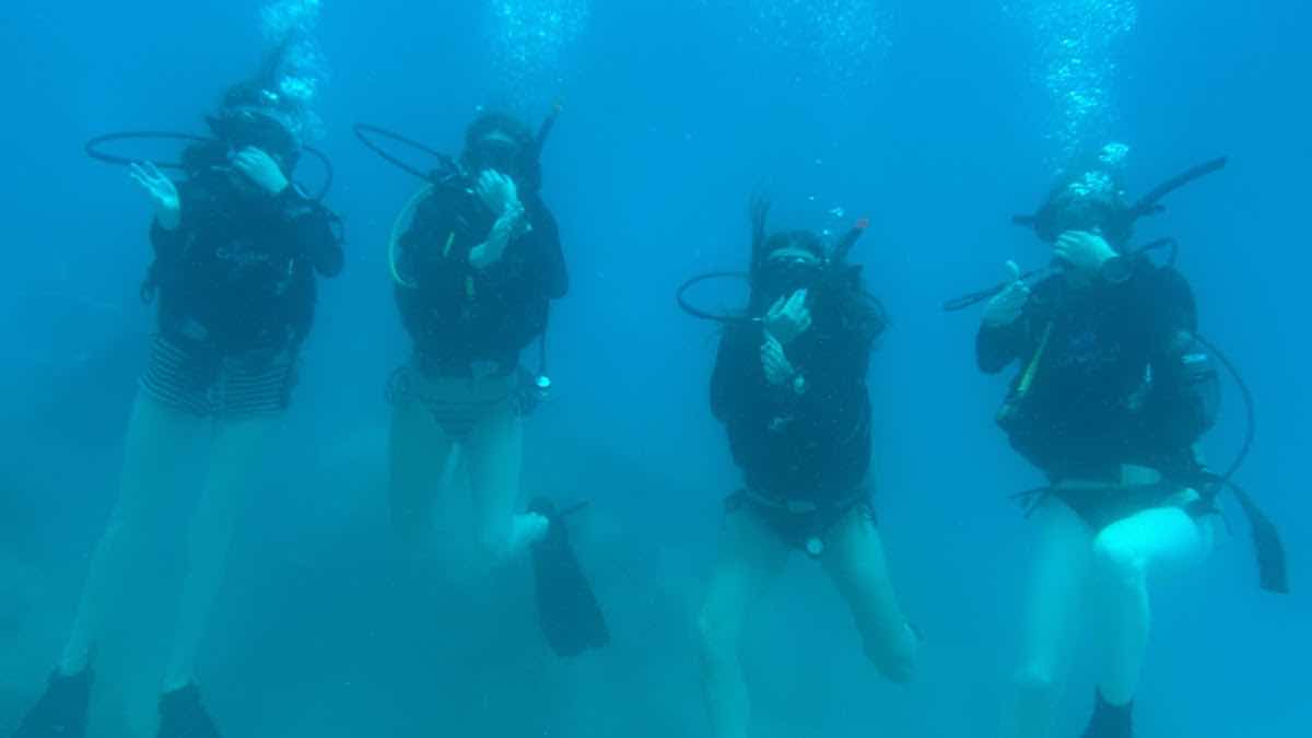 Crystal Dive Koh Tao photo 2