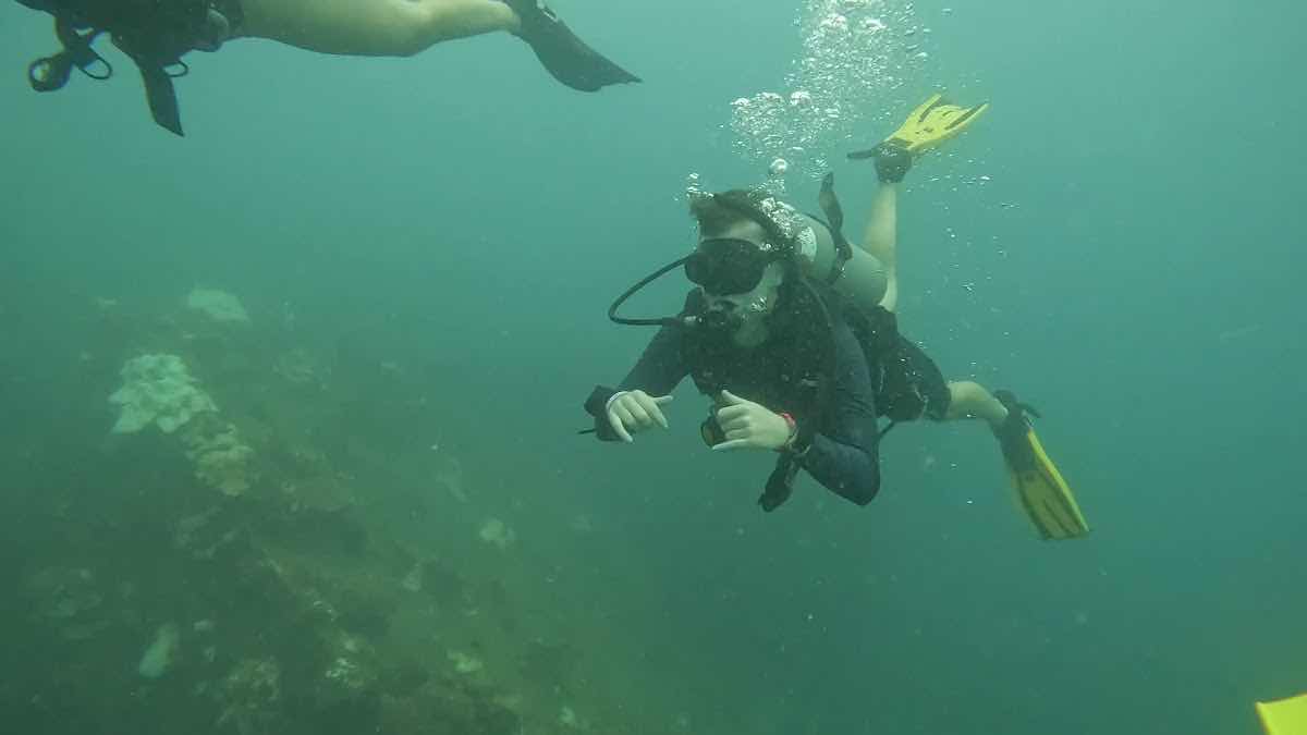 Crystal Dive Koh Tao photo 3