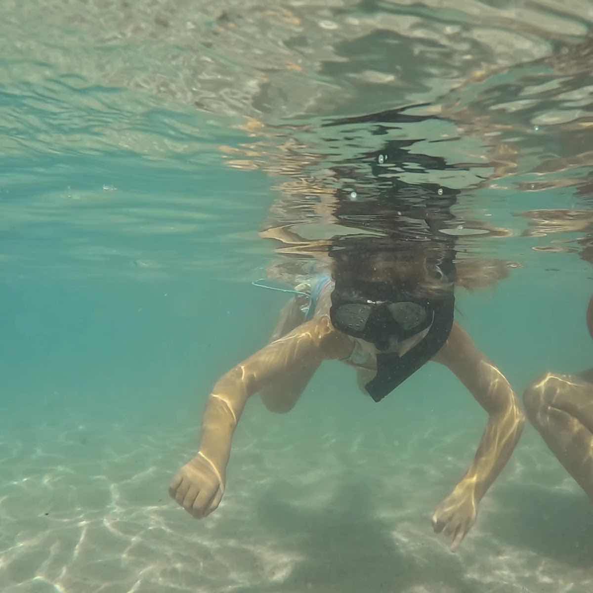 Snorkel & Dive Hawaii photo 3