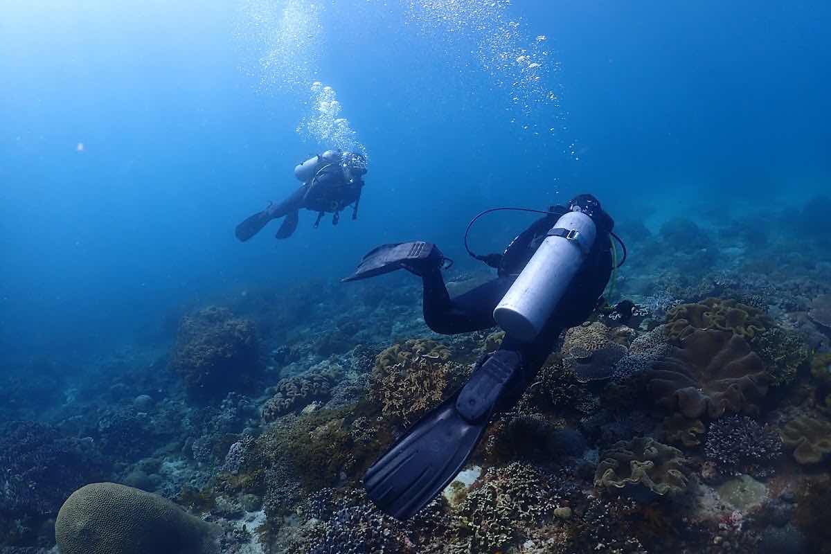 Intrinity Divers photo 1