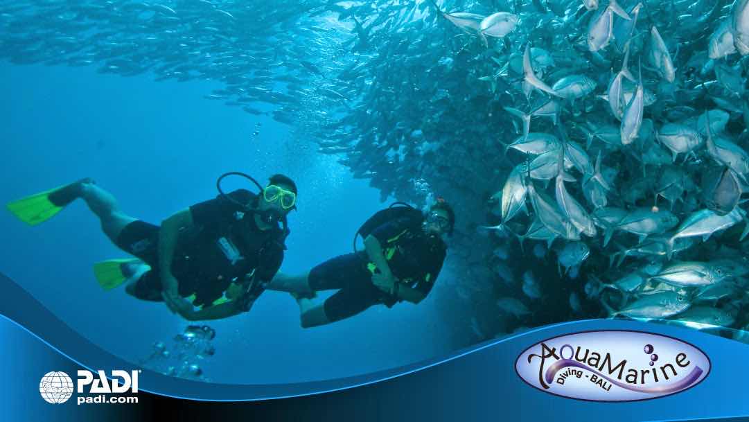 Intrinity Divers photo 6