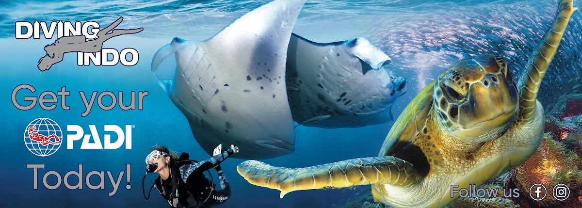 Intrinity Divers photo 8