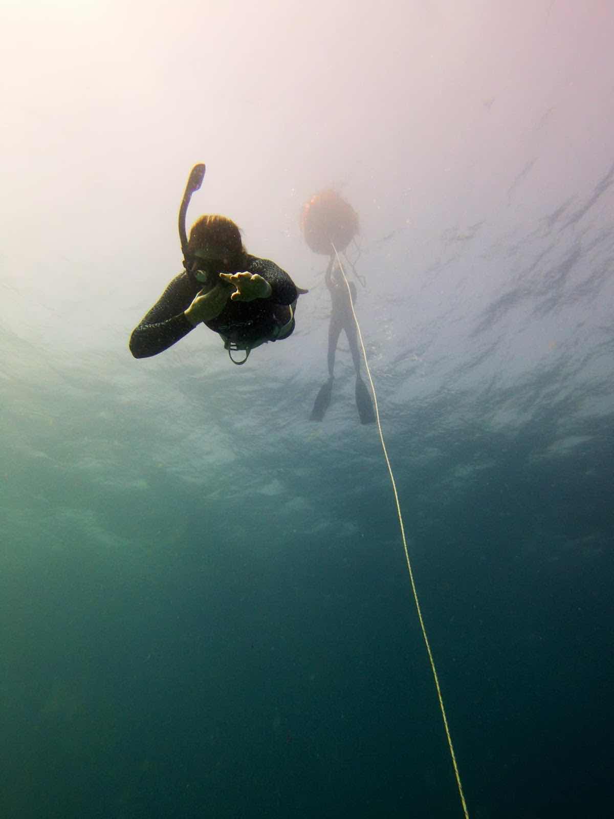 Apnea Boom photo 1
