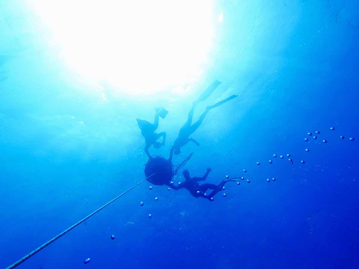 Apnea Boom photo 6