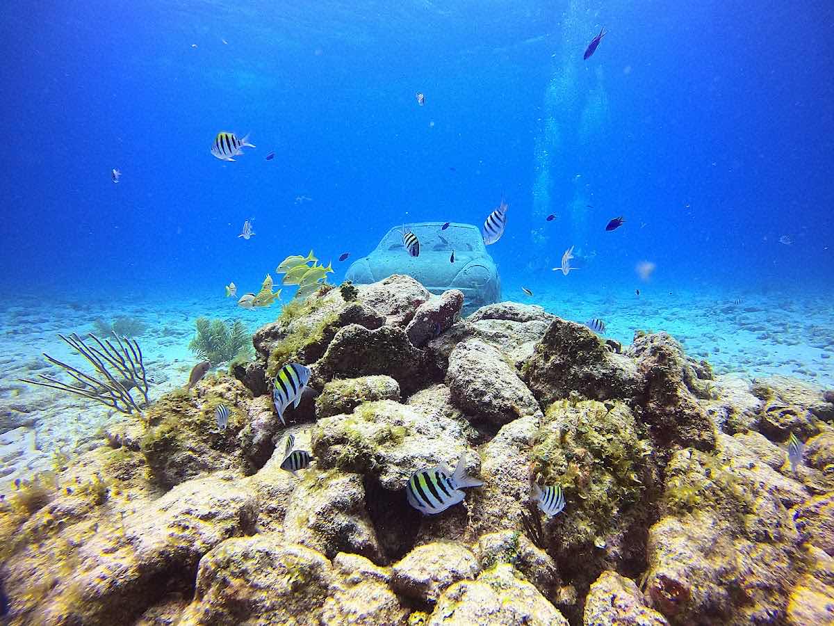 A' HA' Scuba Diving photo 2