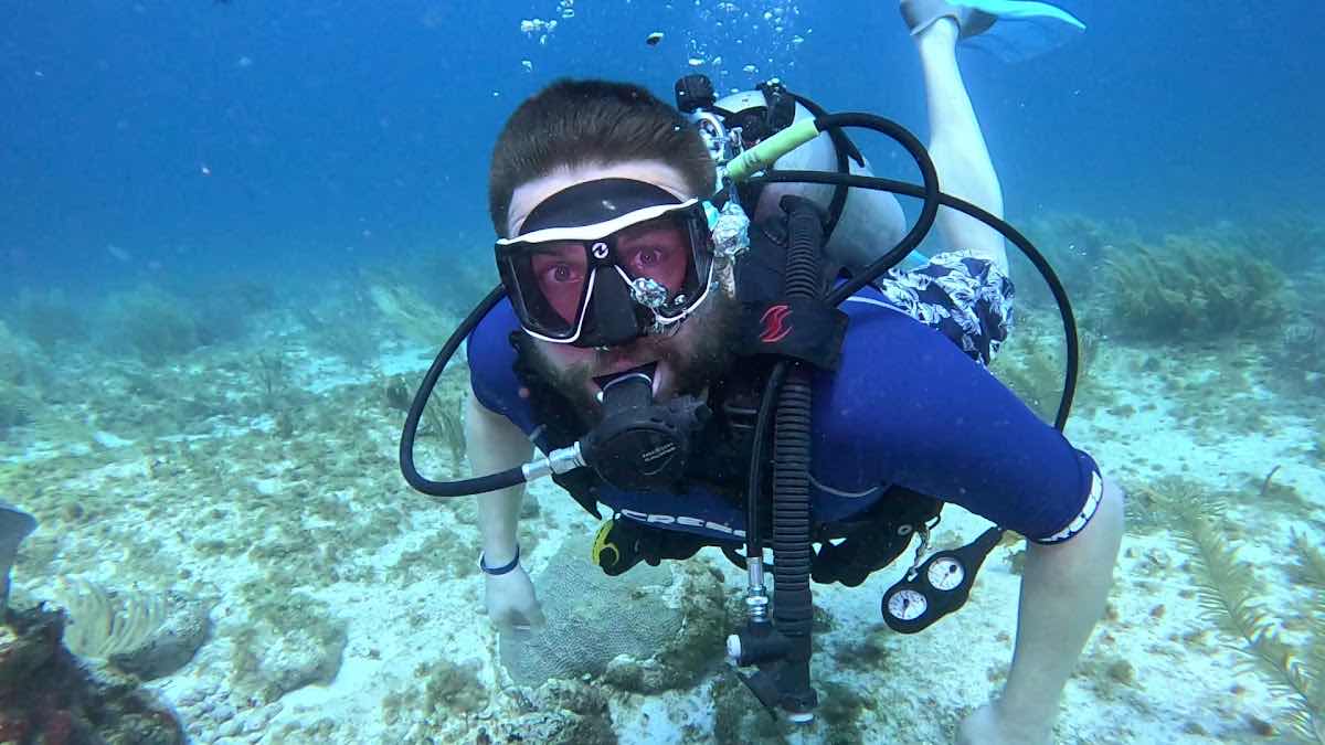 A' HA' Scuba Diving photo 3