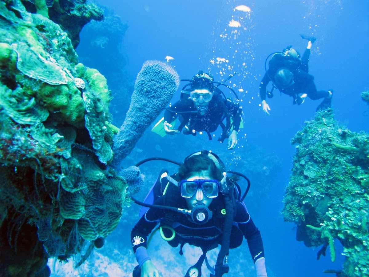 A' HA' Scuba Diving photo 7