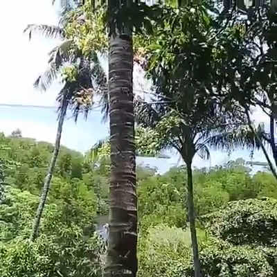 Nayara Villa Desa Budo photo 2