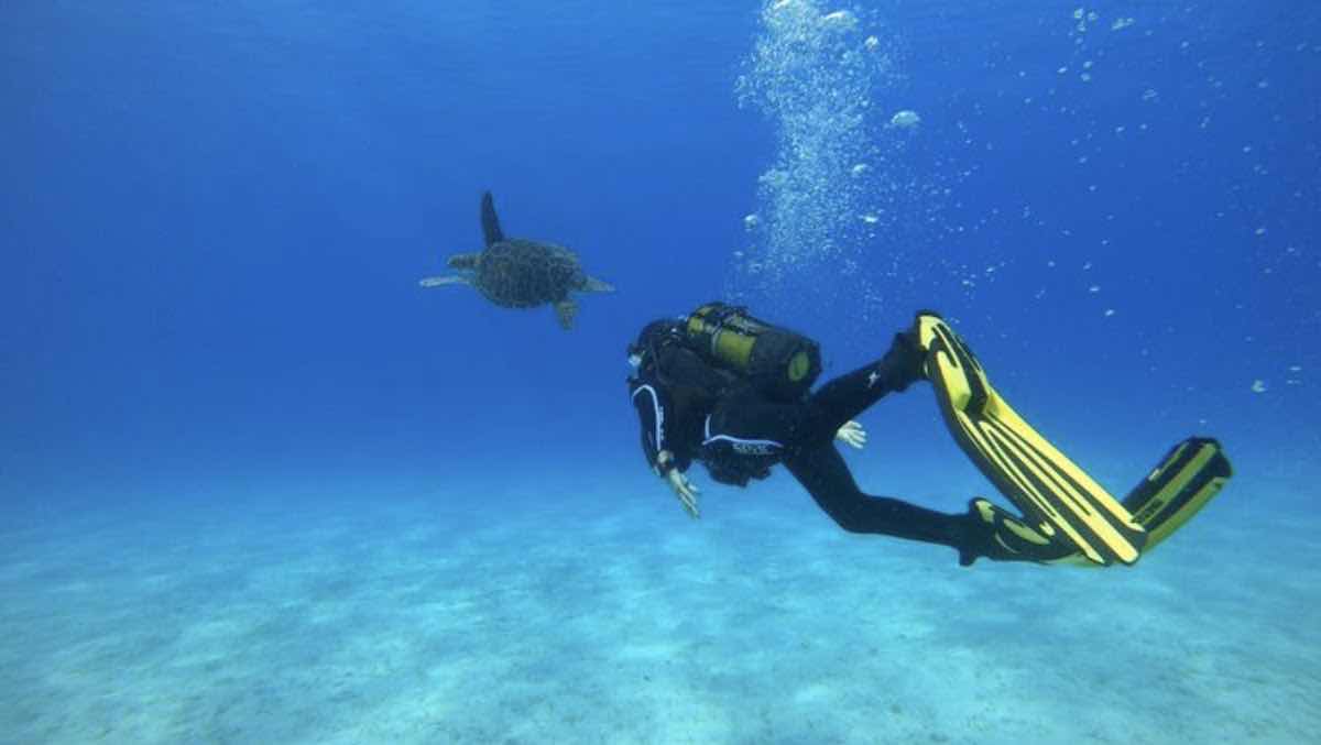 Taba Diving Centre photo 6