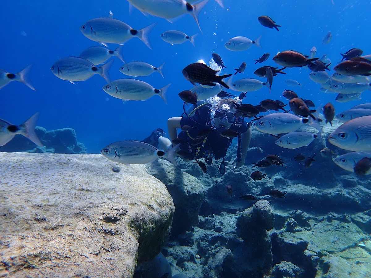 Taba Diving Centre photo 10